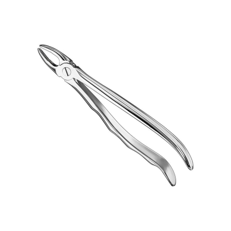 Extracting forceps, engl